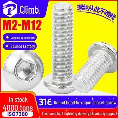 316 Stainless Steel Hex Socket Cap Screw, Hex Bolt M3 M4 M5 M6 ISO7380