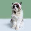 Haustiermütze mit Ohrlöchern, weicher, atmungsaktiver Katzenhut mit verstellbarem Riemen, Sonnenblende für den Sommer im Freien für kleine und mittelgroße Hunde und Katzen