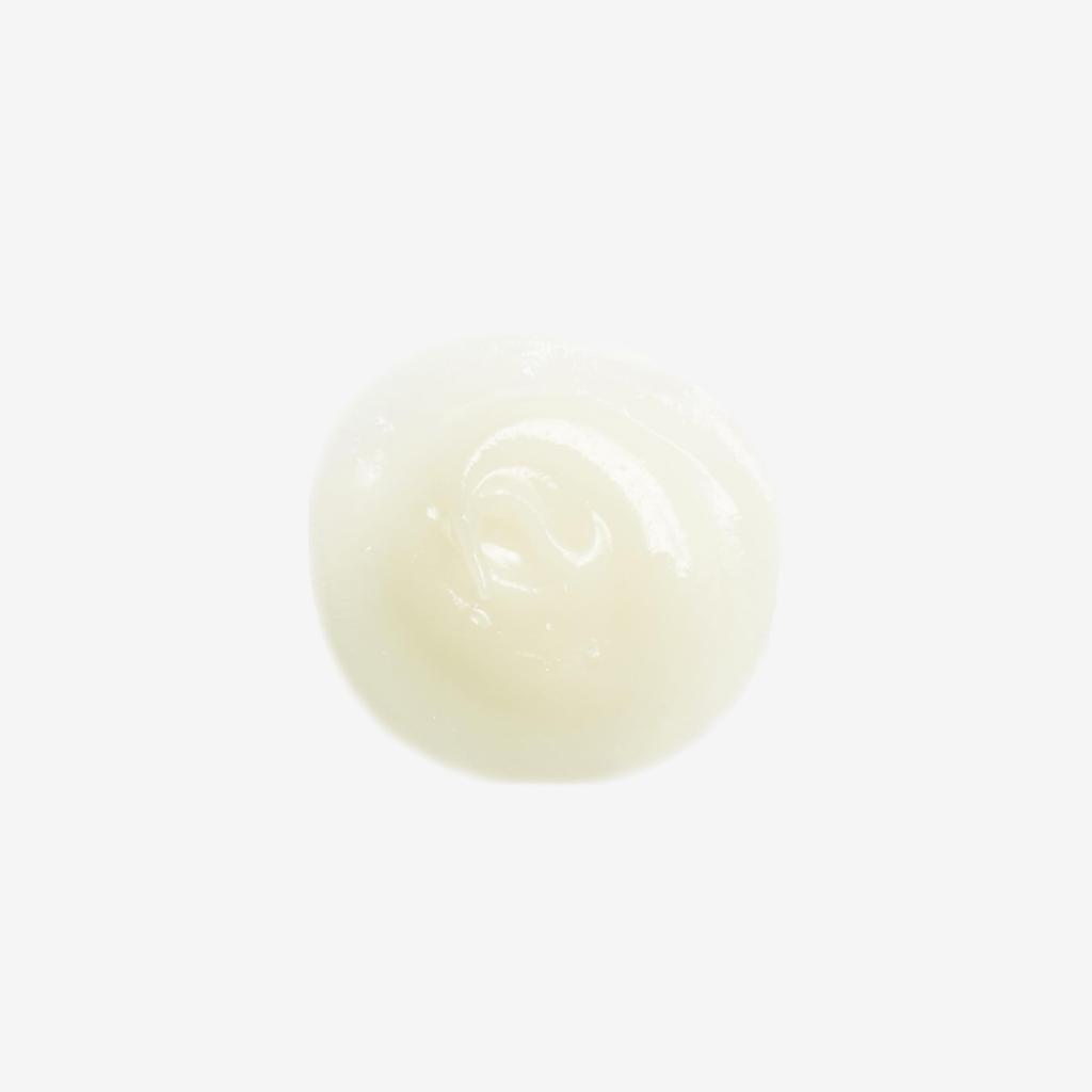 ROAliv Honey Melty Conch R 17g Lip Care Lip Balm