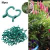 Grafting Plant Clips Orchid Parts Plastic Replacement