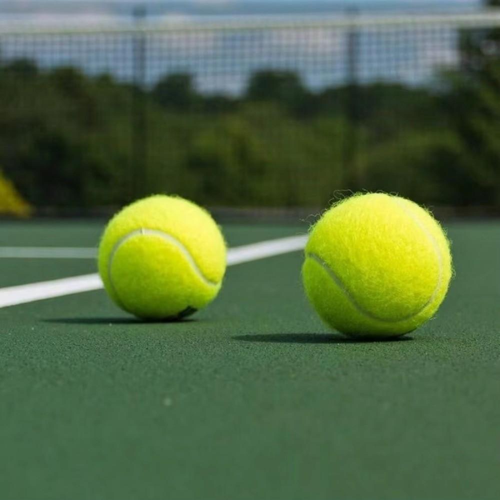 Durable Pet Playing Balls Non-Toxic Practice Ball New Tennis Balls  Tennis Club
