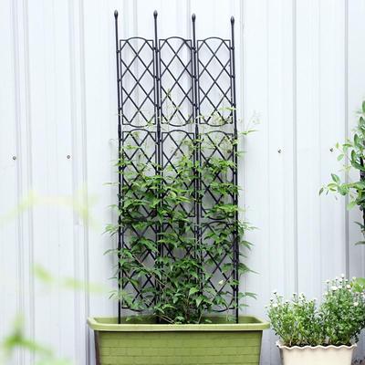 Outdoor Climbing Plant Support for Clematis, Rose, and Cucumber – Garden Flower Rack and Vine Pole Screen