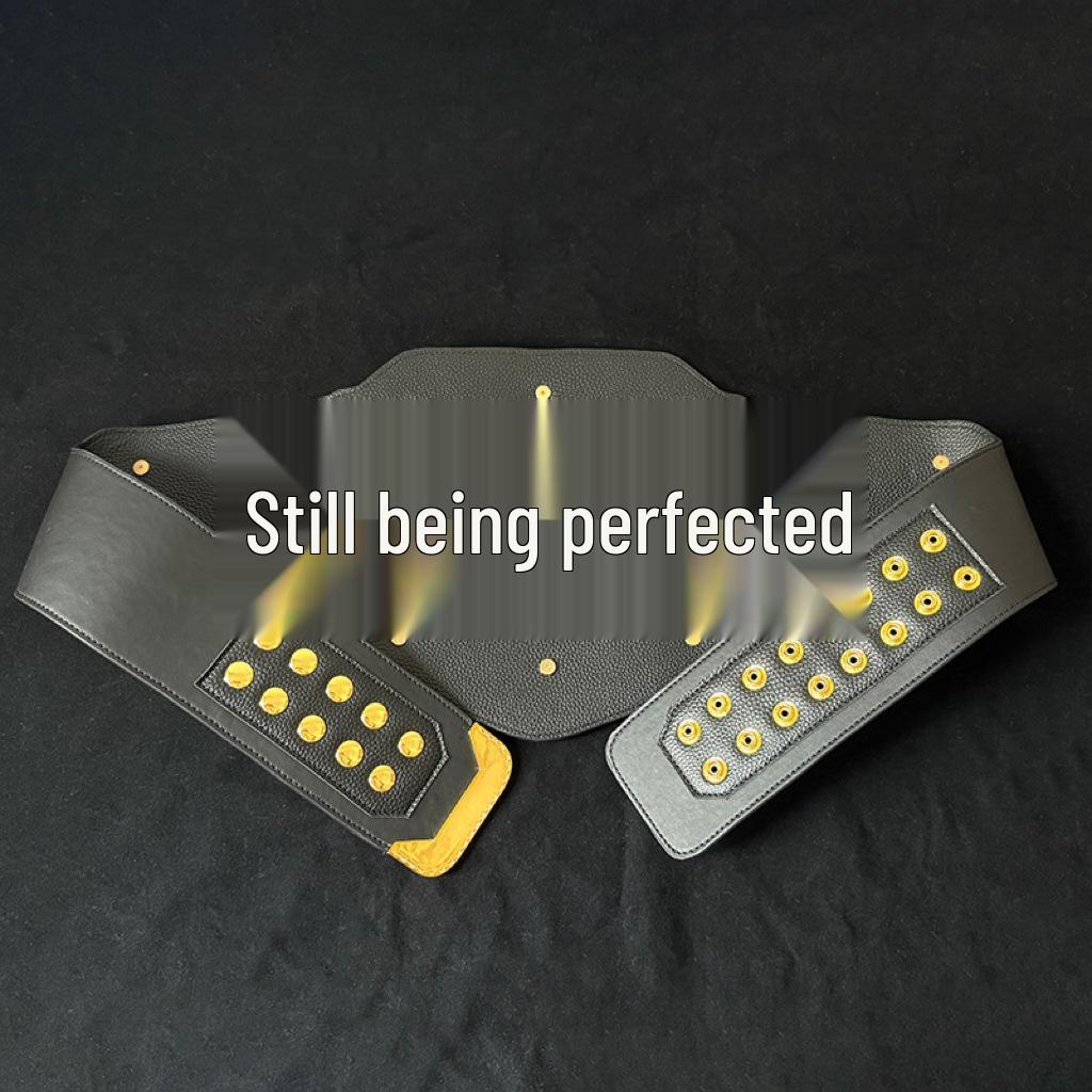 WWE World Heavyweight Championship Gold Belt Boxing Match 1/1 Commemorative Champion Prize Collection