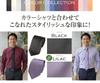 [C CRAVATTERIA] Silk Satin Solid Tie, Made In Japan, Stylish, Business, Recruitment, Tango Textile Industry Association (Red)