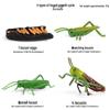Montessori Cognitive Models: Sea Turtle, Hen, Frog, Snail, Butterfly, Bee Growth Cycle Toys