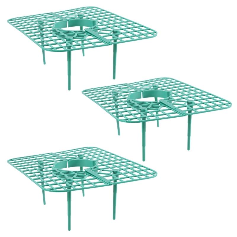

Anti-rot Strawberry Growing Racks Holder Strawberry Plant Stand Home Garden Plant Accessories for Plant Flower Climbing 1