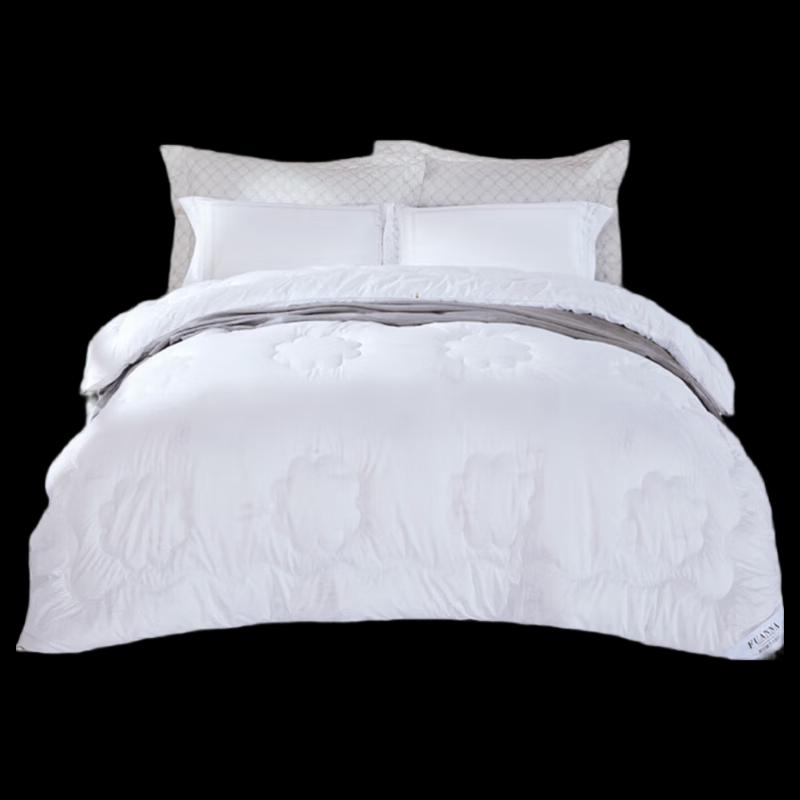 Fuanna Colton All-Season Polyester Quilt