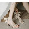 Medium Heel Low Top Sandals Square Head Open Toe Thick Heel Versatile Fashion