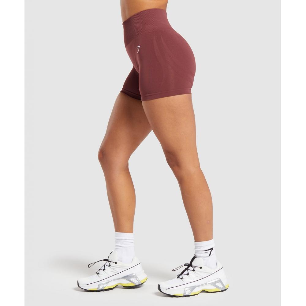 Gymshark Bezešvé kraťasy pro každodenní použití, vínově hnědé, B6a8m Rbqv