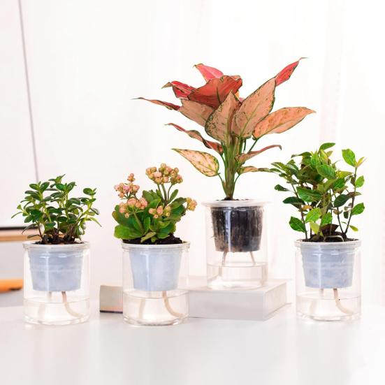 Watering Cotton Rope Self Watering Capillary Wick Easy Installation DIY Vacation Automatic Drip Irrigation System Indoor Garden Plant Care