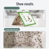 Home Moth Traps for Flour Moths, Clothes Moths, Fruit Flies, and Small Flying Insects - Insecticide-Free and Sticky