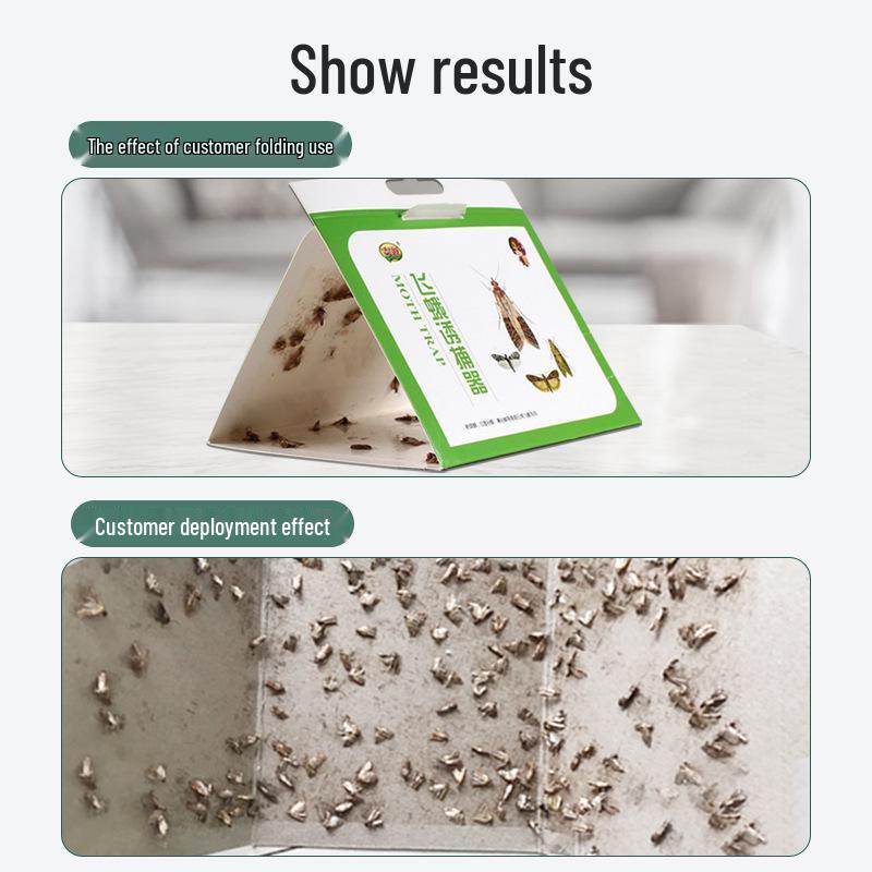 Home Moth Traps for Flour Moths, Clothes Moths, Fruit Flies, and Small Flying Insects - Insecticide-Free and Sticky
