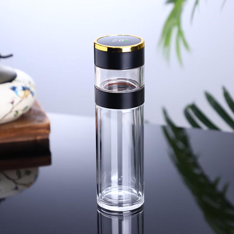 Smart Temperature Display Double-Wall Glass Tea Infuser Bottle