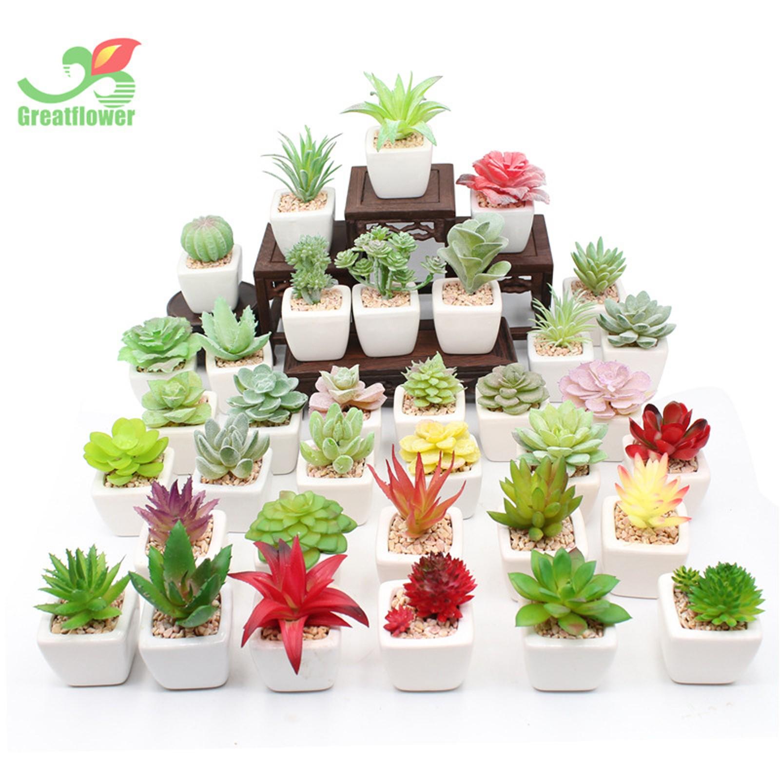 

Simulation Succulent Plants Potted Indoor Outdoor Home Decoration Green Plant