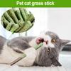 1 bolsa Dientes de Gato Limpieza Hierba para Gatos Palo Hierba Para Gato Natural Hierba Varilla Molar Juguetes de Hierba Gatera Palos Interior Gatito Eliminación de Bolas de Pelo