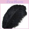 Luxurious Natural Ostrich Feathers 12-14 Inches For Elegant Party Table Decor