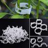 100 Pack Garden Plant Clips, Tie Plants Twine Vine Trellis Cages Vine Vegetable Tools Grafting to Grow Healthier Straight Plants - RIpj