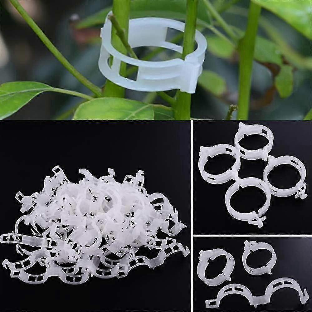 100 Pack Garden Plant Clips, Tie Plants Twine Vine Trellis Cages Vine Vegetable Tools Grafting to Grow Healthier Straight Plants - RIpj