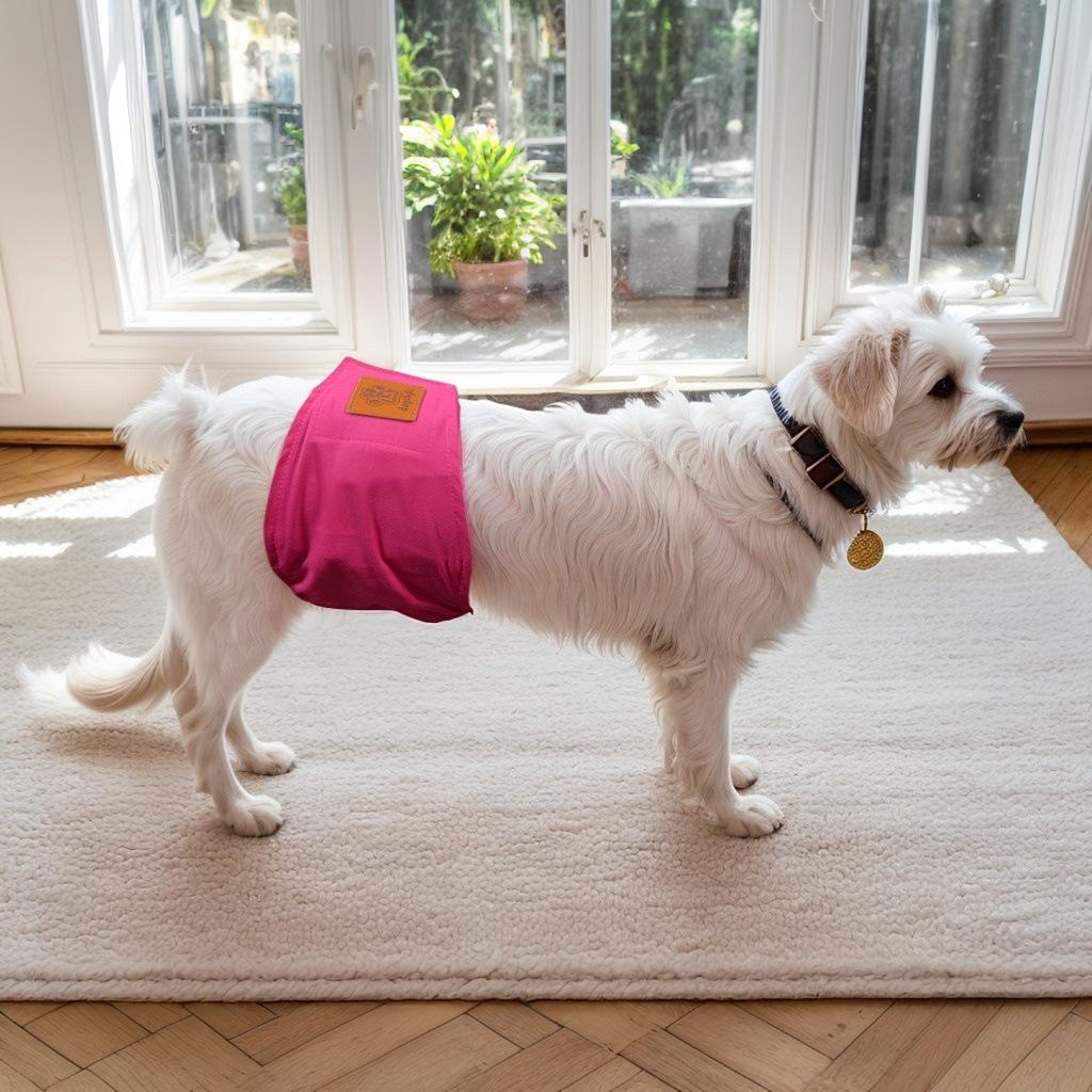 New pet products, dog pet physiological pants, sanitary pants, dog clothes, diapers, male dog physiological pants S