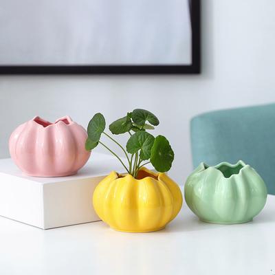 Ceramic Hydroponic Flower Pot Planter Succulent Pot Home Decoration Ornaments Garden Supplies Bonsai Cactus Plant Pot