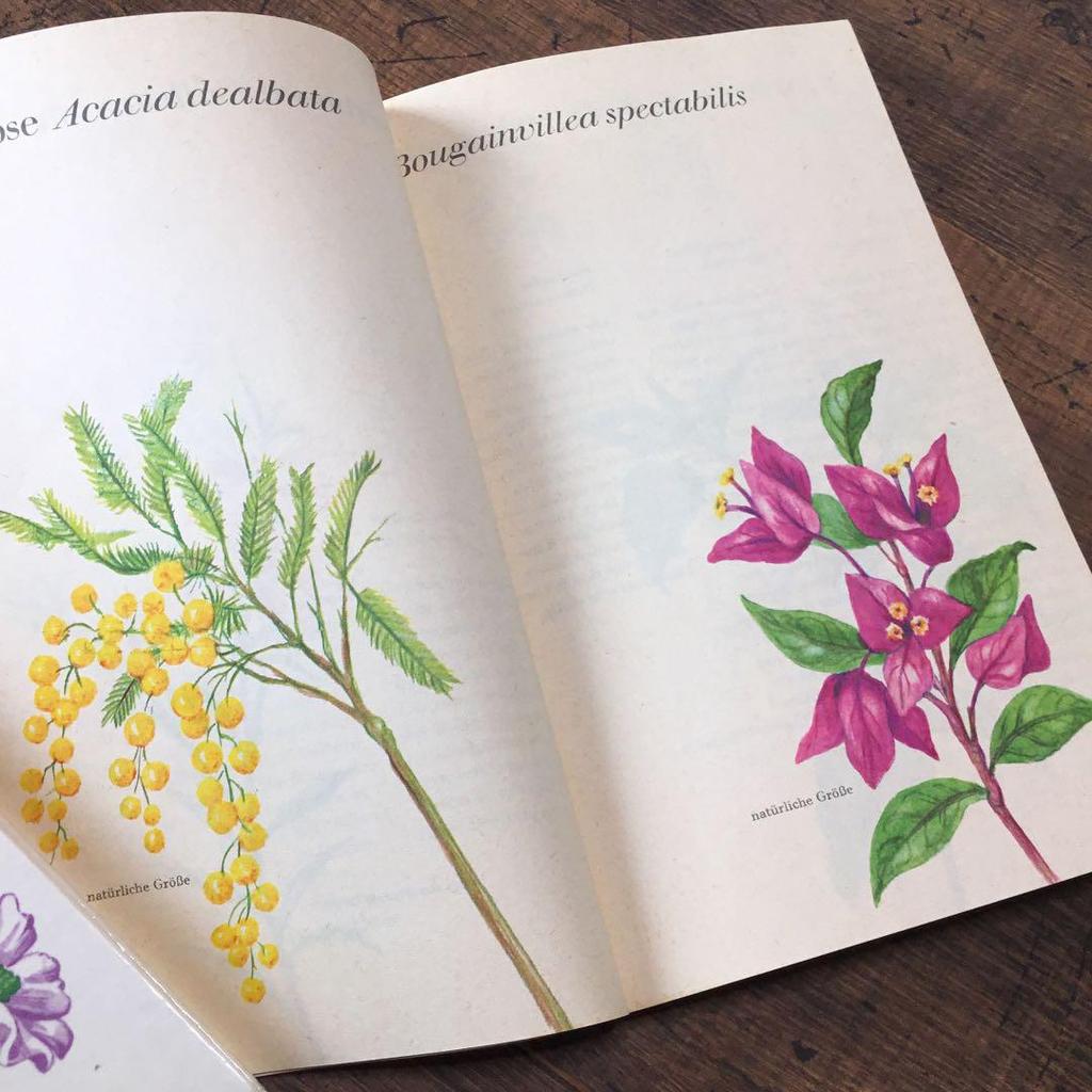 [USED] Plant encyclopedia, old German books, botanical art, junk journals