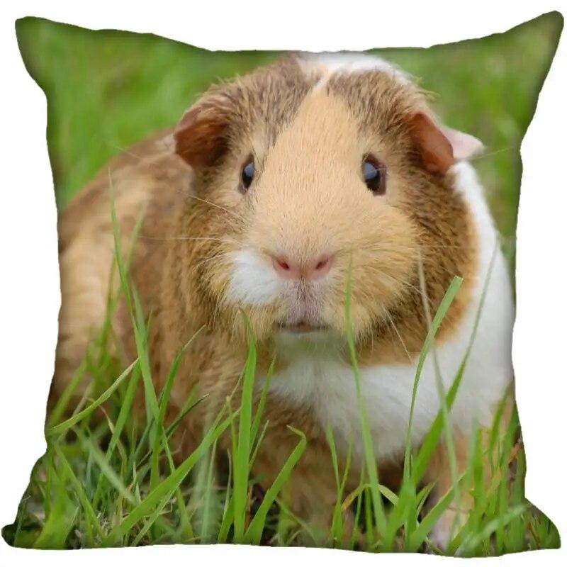 Living Room Pillowcase Guinea Pig   Modern Home