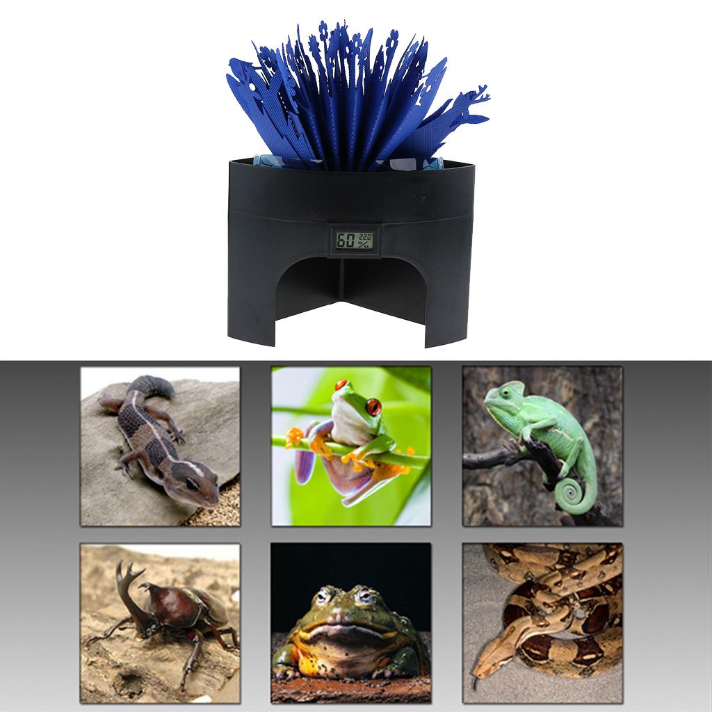 bearded dragon humidifier