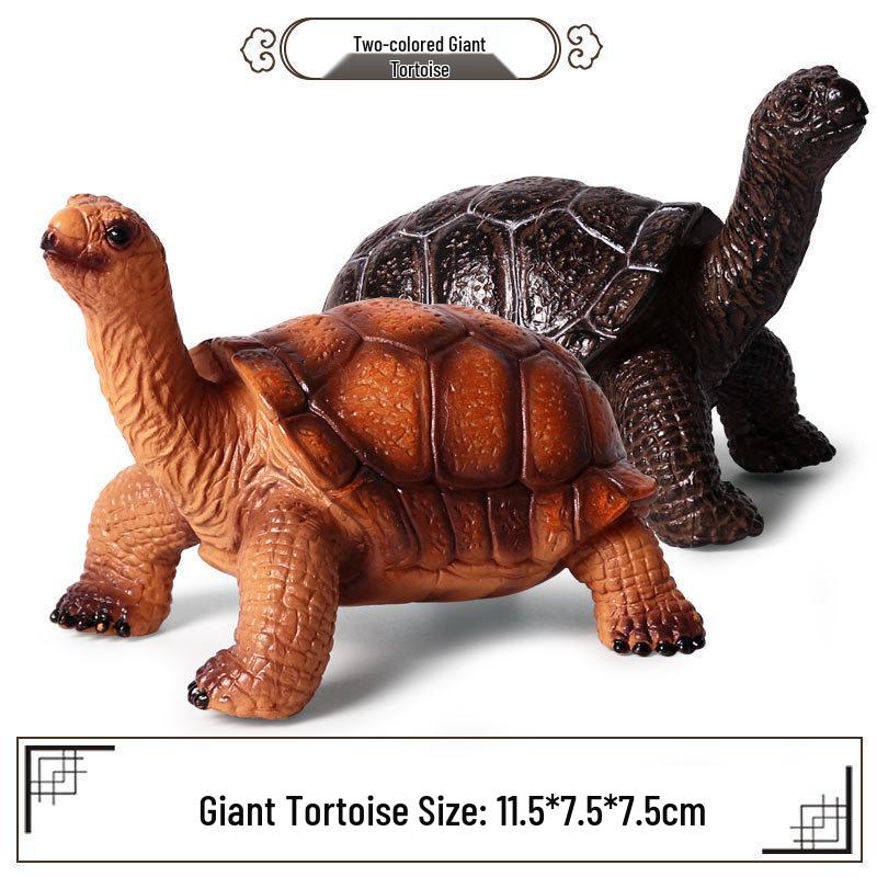 Cross-Border Children's Cognitive Amphibian & Reptile Tortoise Model Fish Tank Ornament Toy