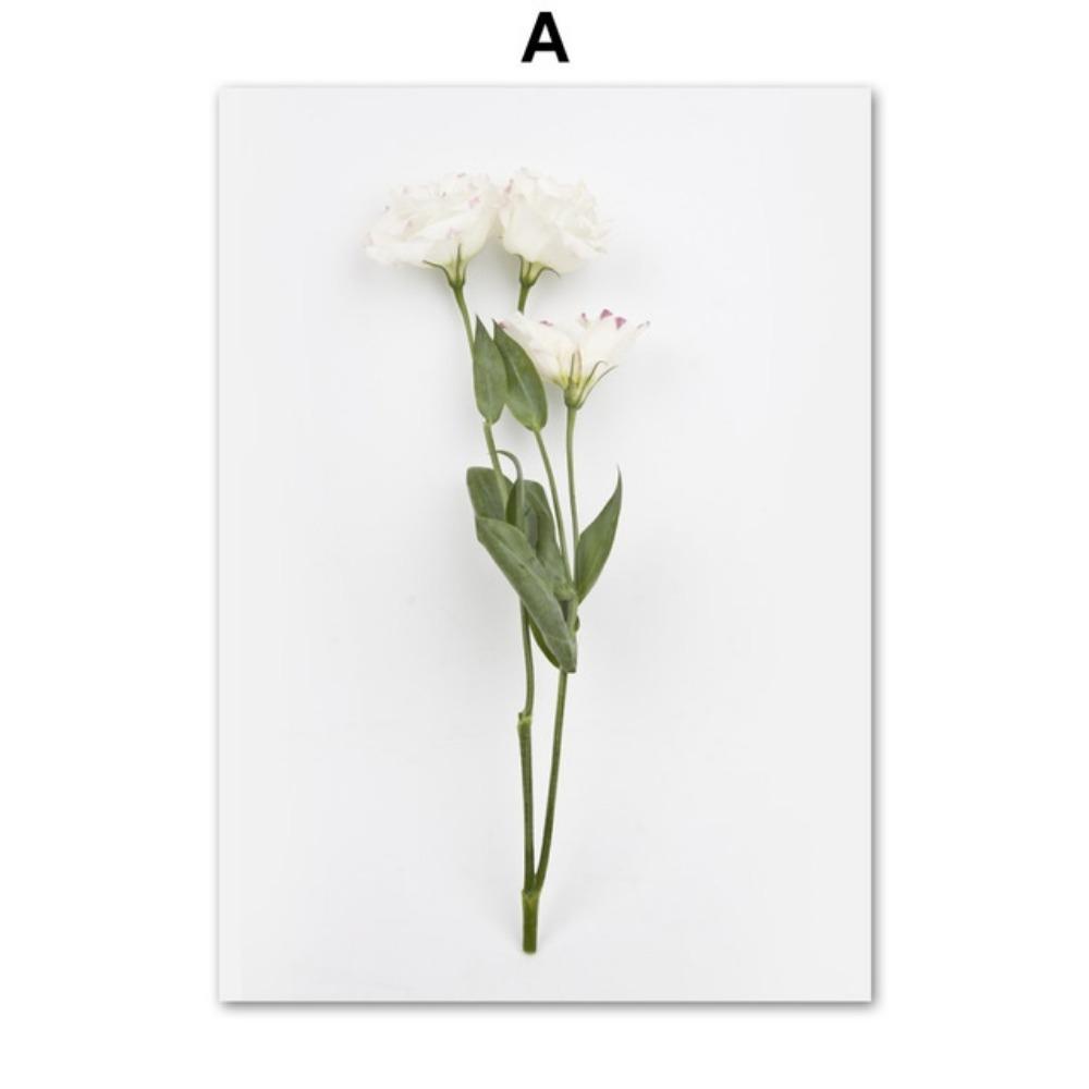 

Дева цветок птица перо пейзаж скандинавский холст масляная живопись печать гостиная спальня настенное украшение живопись 21*30cm No Frame