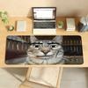Accesorii pentru calculatoare – Mouse pad-uri și suporturi mână