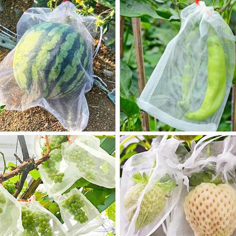 1-100Pcs Grapes Fruit Grow Bags Netting Mesh Strawberry  Vegetable Plant Protection Bags For Pest Control Anti-Bird Garden Tools