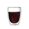 SX Double Wall Insulated Glass Cup