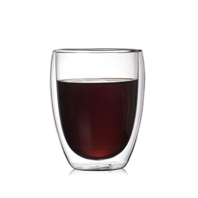 SX Double Wall Insulated Glass Cup