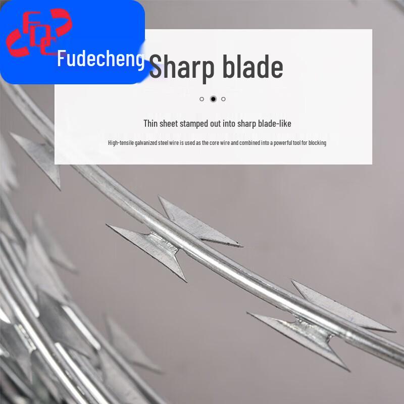 Razor Wire Security Fence