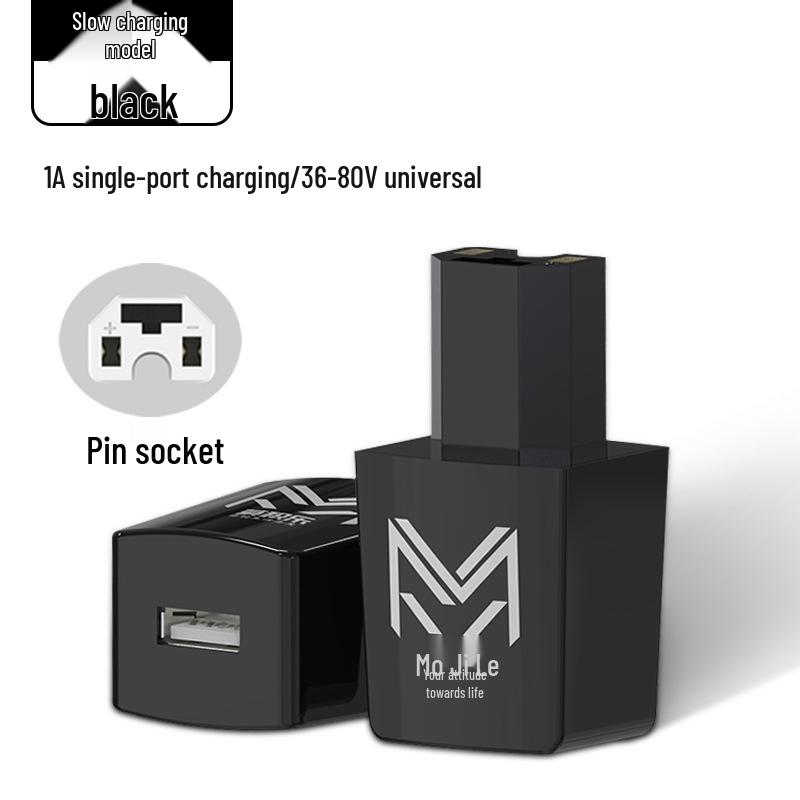 Universal 66W Flash USB Charger for Electric Vehicles (48V-100V)