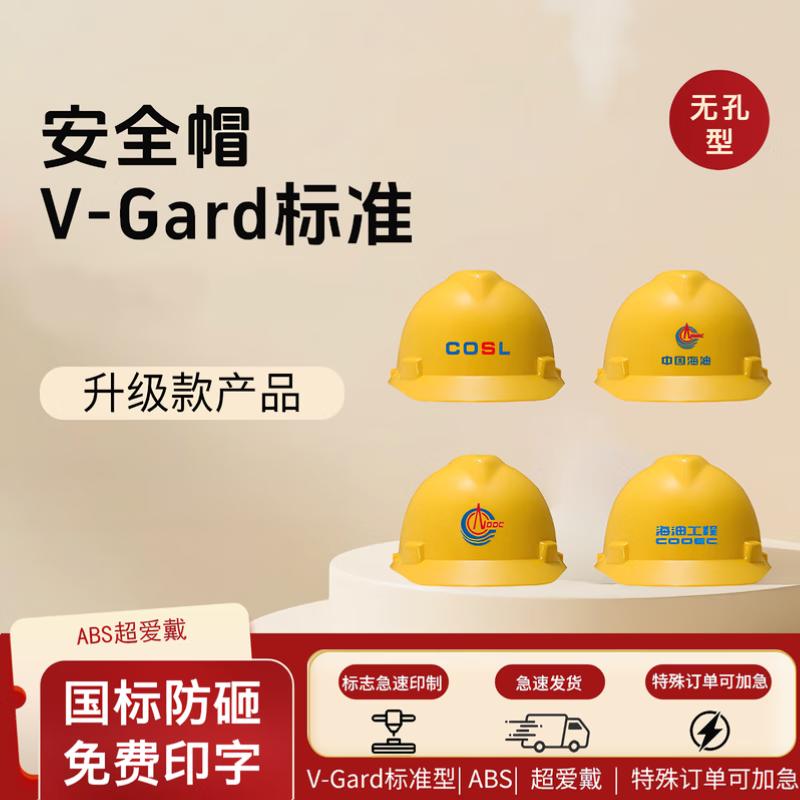 MSA V-Gard ABS Safety Helmet
