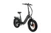 TTGO F6 PRO Adult Electric Bicycle 250W Motor 48V 18AH Battery 20 Inch*4.0 Fat Tire Snow Bike Off-Road E-Bike for Urban Commuting