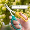 Stainless Steel Sharp Fruit & Berry Shears for Plants & Vegetables