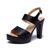 2025 Sexy High Heels New Women Pumps Comfort Women Shoes Super High Heel Ladies Shoes Open Toe Women Sandals 32-43