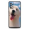 Custodia Telefono Amico Golden Retriever per Samsung Galaxy A51 A71 A21S A12 A11 A31 A52 A41 A32 A01 A23 A33 A53 A73 A03S A13 5G Cover