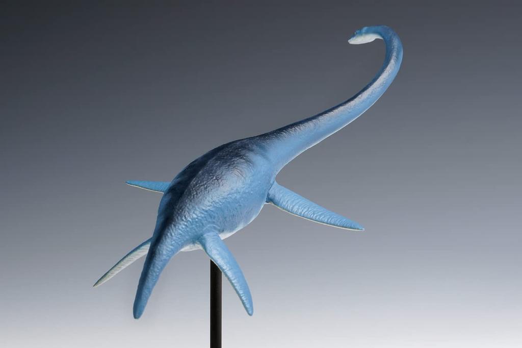 Wave Futabasaurus Ryu Total length 23cm Plastic model Molded color 1/35 approx. OG-031