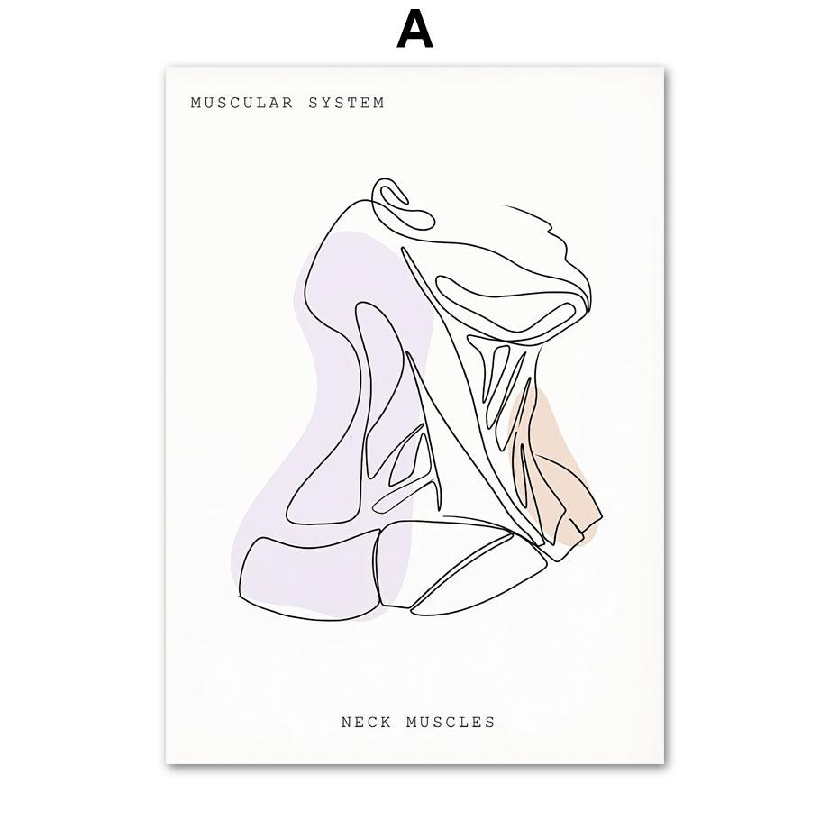 Minimalistisches buntes Anatomie-Linien-medizinisches Poster und Druck, Geist-Zahn-Organ-Wand-Kunst-Leinwand-Malerei, Ästhetik, Raumklinik-Dekor