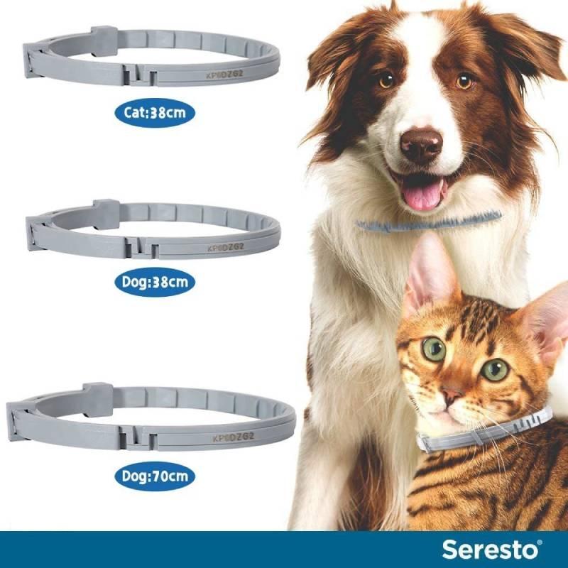 Flea And Tick Prevention Collar For Dogs And Cats- 8 Months Protection Odorless And Non-greasy