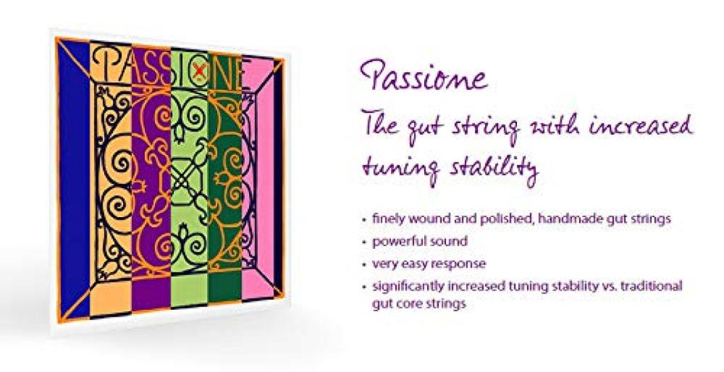 PIRASTRO PASSIONE Violin Strings Set of 4 4/4 (E String Loop)