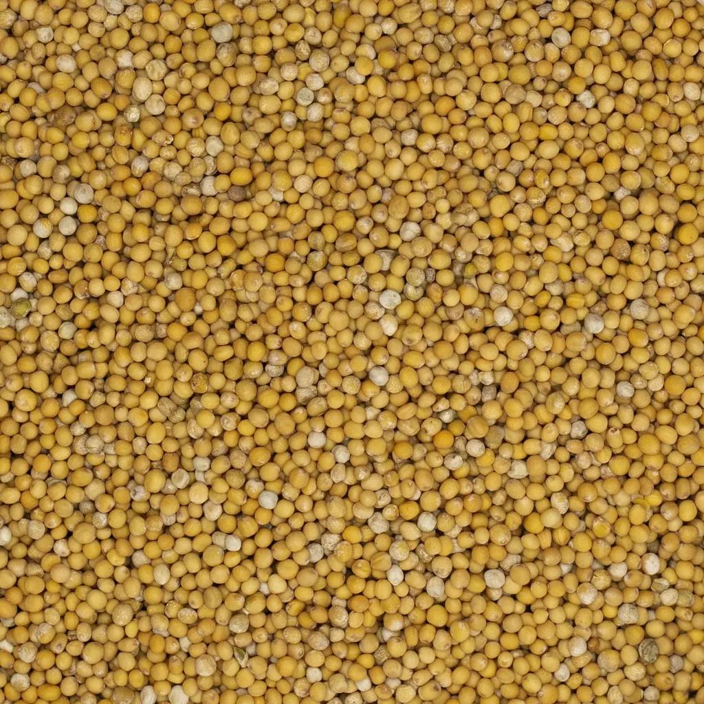 Semilla de Mostaza Blanca 1Kg