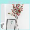 Branch Fruit Hawthorn Hotel Landing Flower Arrangement Decoration Photography