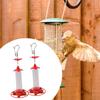 Hummingbird Feeder Bird Food Dispenser with Hook Reliable Sturdy Feeding Station Automatic