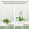 4pcs Geometry Metal Plant Trellis Potted Climbing Plant Starter Tool for Stems Vine Peas Vegetables DIY Training Pole