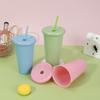 Water Bottle Summer Macaron Plastic Cup Simple Rubber Paint Anti-leakage Cup Portable Double-layer Plastic Straw Cup