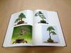 [USED] Collection of works, catalogue "The 12th Nippon Bonsai Taikan Exhibition